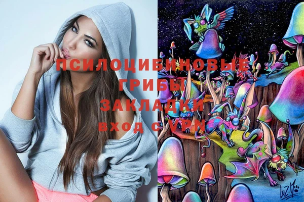 таблы Арсеньев