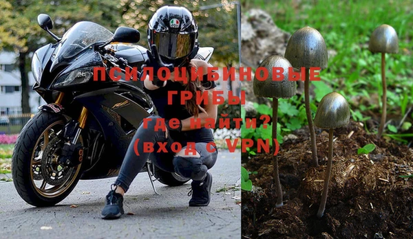 mdpv Аркадак