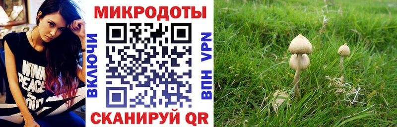 Галлюциногенные грибы прущие грибы Удомля